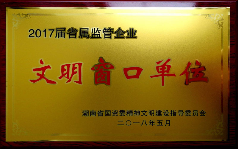 湖南发展集团养老产业有限公司荣获“省属监管企业文明窗口单位”称号